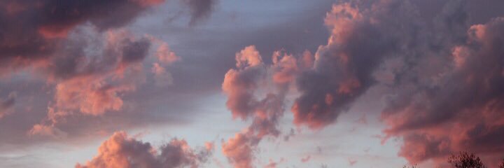 LindseycNelson's profile banner image