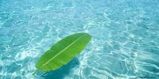 Snow Web3 🌶️ banner