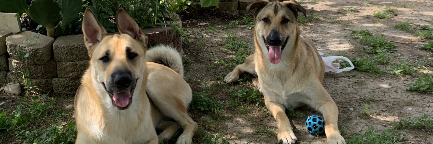 CristianRed9's profile banner image
