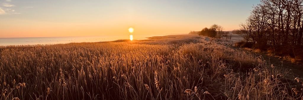 Eva-Lotta Brakemeier banner