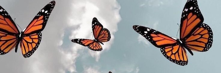 jdcj2000's profile banner image