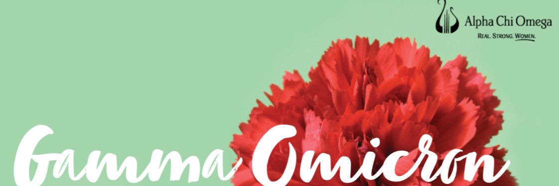 Marshall University ΑΧΩ banner