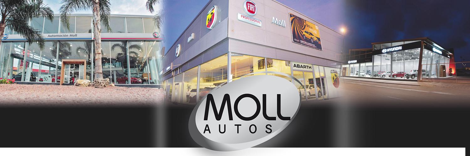 MollAutos's profile banner image