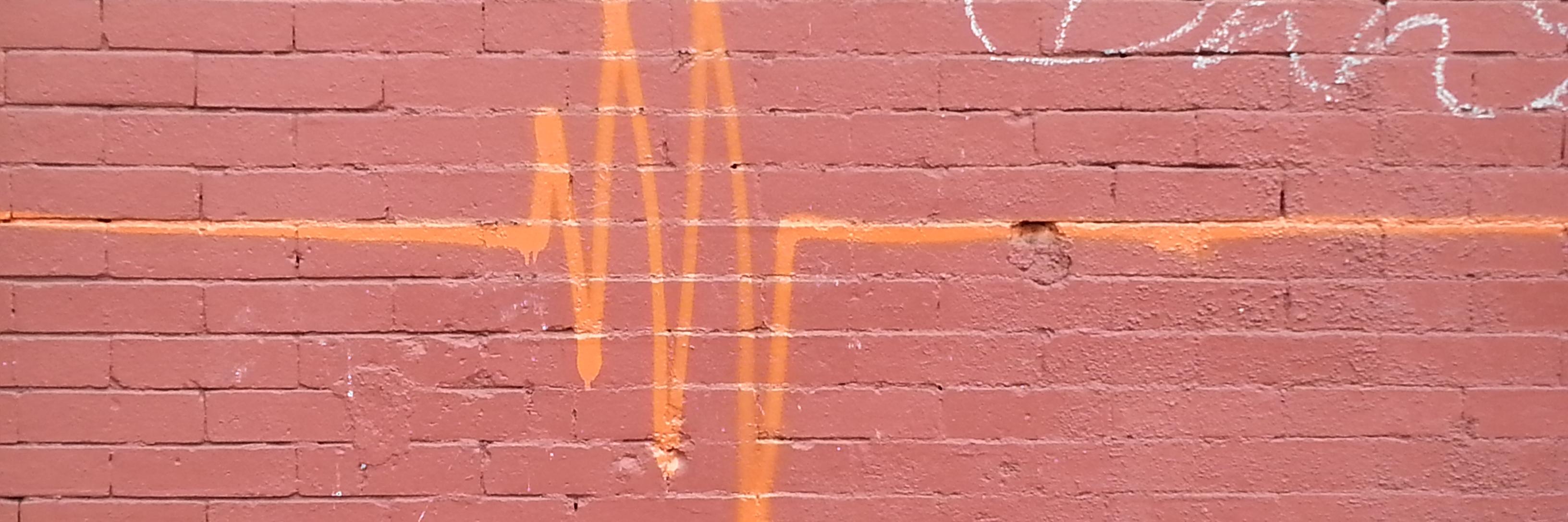 mzappitello's profile banner image