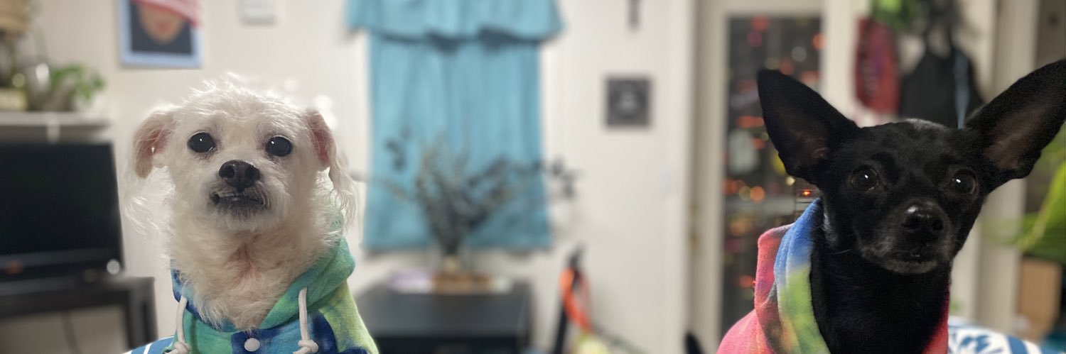 _stephhyyy's profile banner image