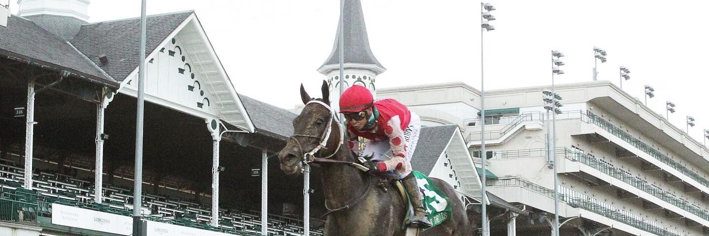 Bloom Racing Stable banner