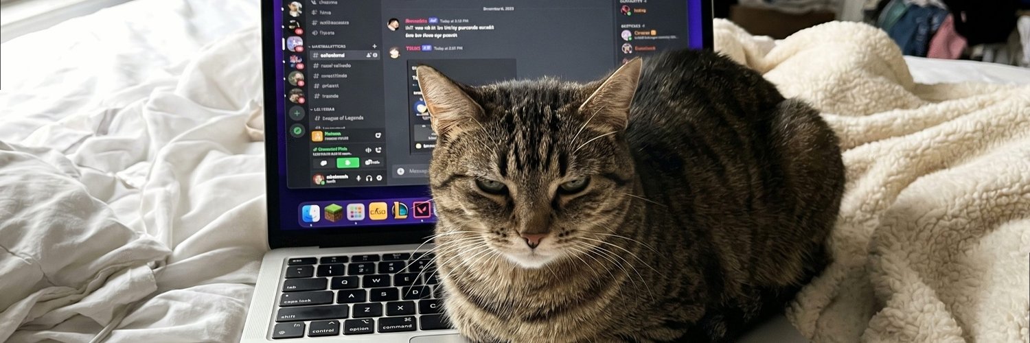 sofiaskye4's profile banner image