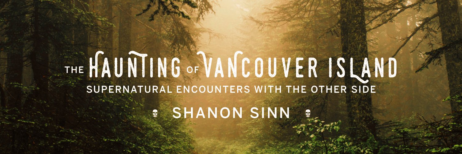 ShanonSinn's profile banner image