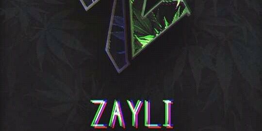 ZayliAlex's profile banner image