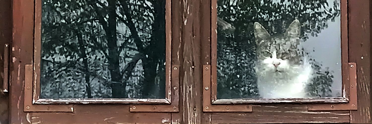Nawrotto 🇵🇱 🚝🐍 banner