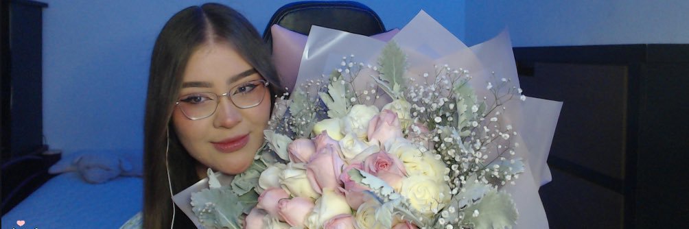 Axelesoo's profile banner image