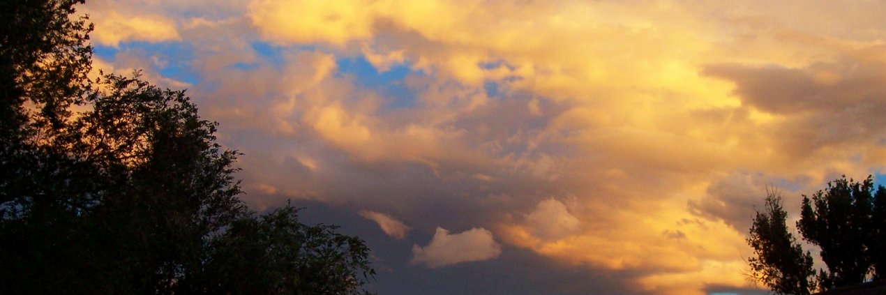 wlaffen's profile banner image