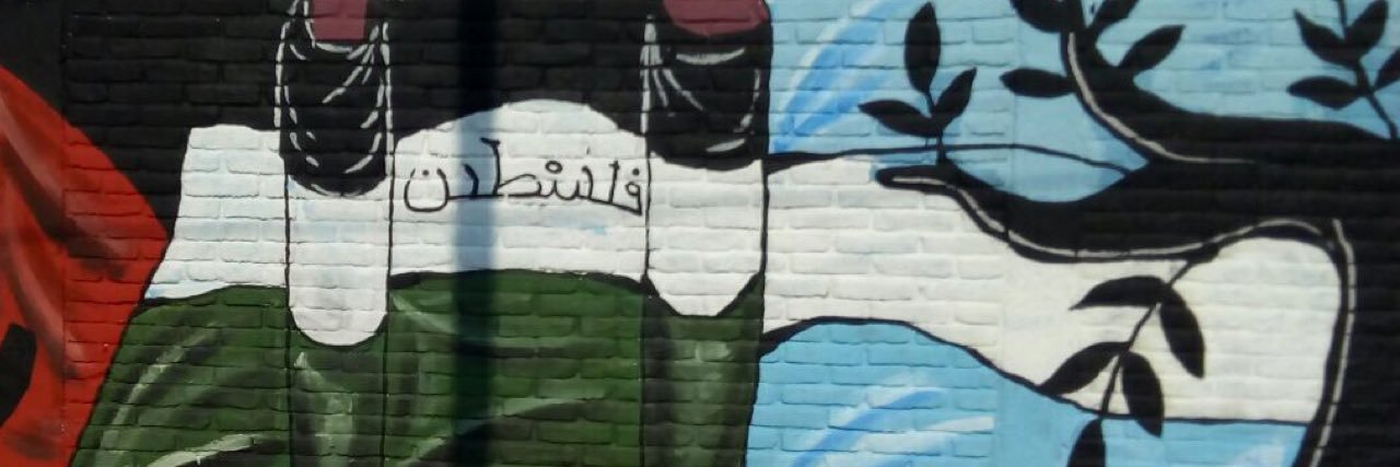 Fed Arg Palestina banner