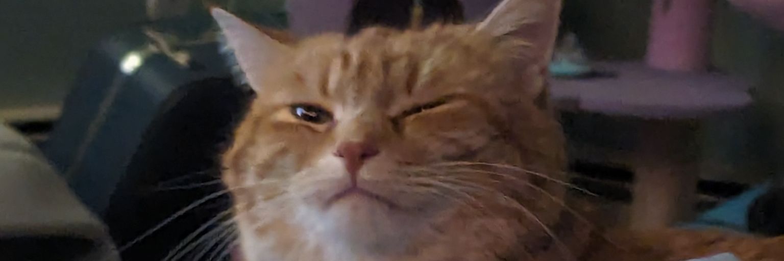 KaylaOfWendt's profile banner image