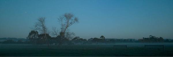 halfslashcut Profile Banner