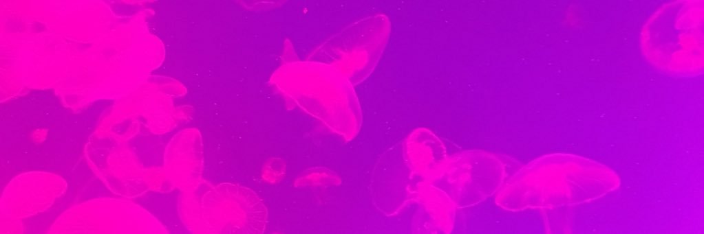 kristawodelet's profile banner image