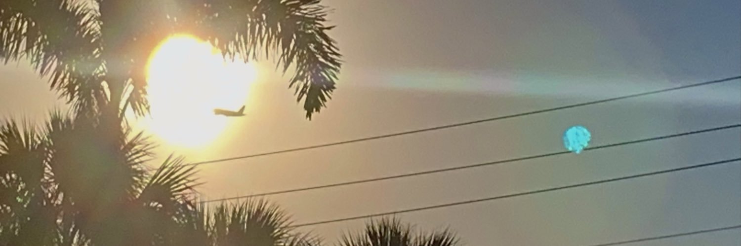 nutpospilg1's profile banner image