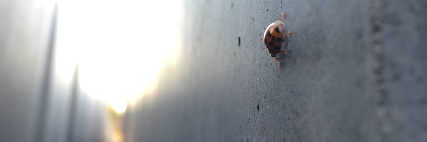manukwij's profile banner image