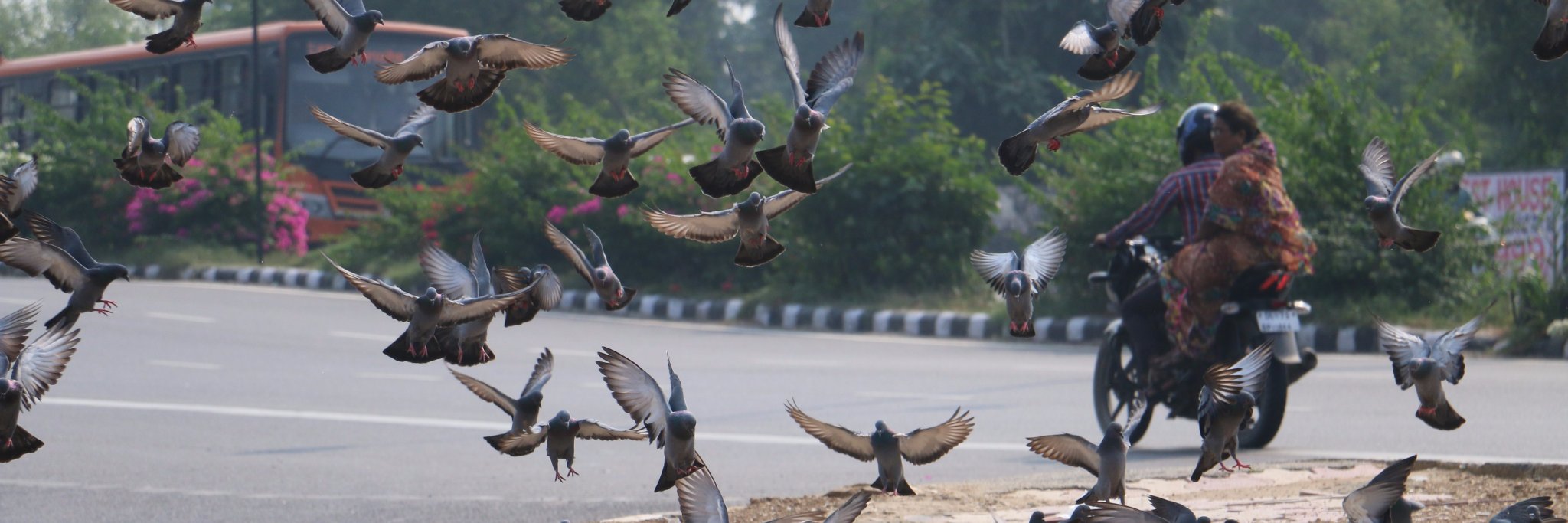 AmitGupta277's profile banner image