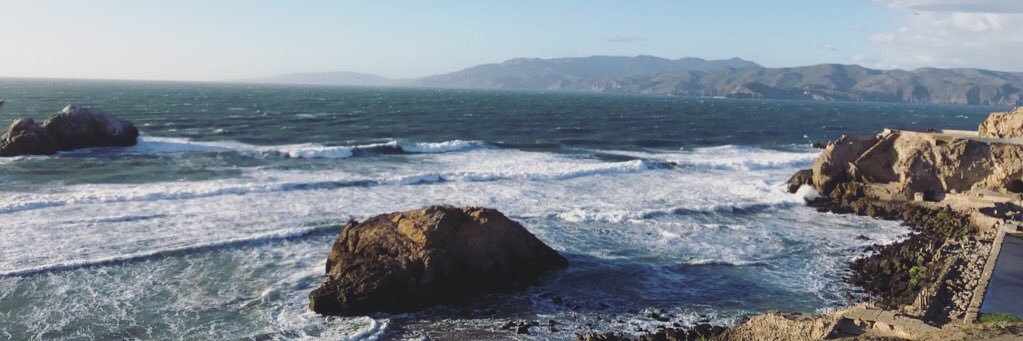 LizzyHopz's profile banner image