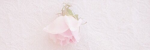 Carolineeee_7's profile banner image