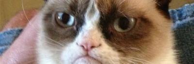 TuRisaMeDaRisaa's profile banner image