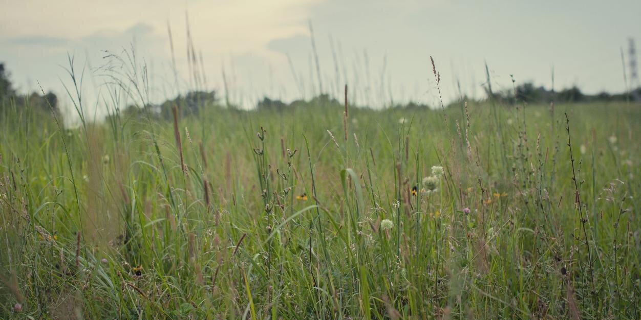 Mary_Mags's profile banner image