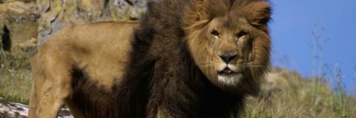 MMP_Fly's profile banner image