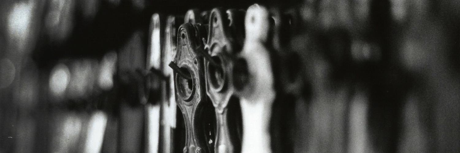 allisonbirdpics's profile banner image