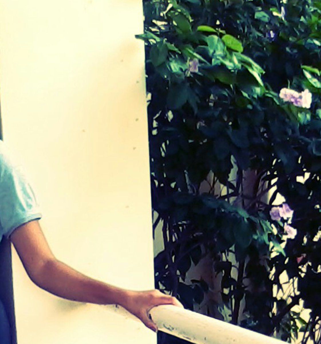 psy_rose21's profile banner image