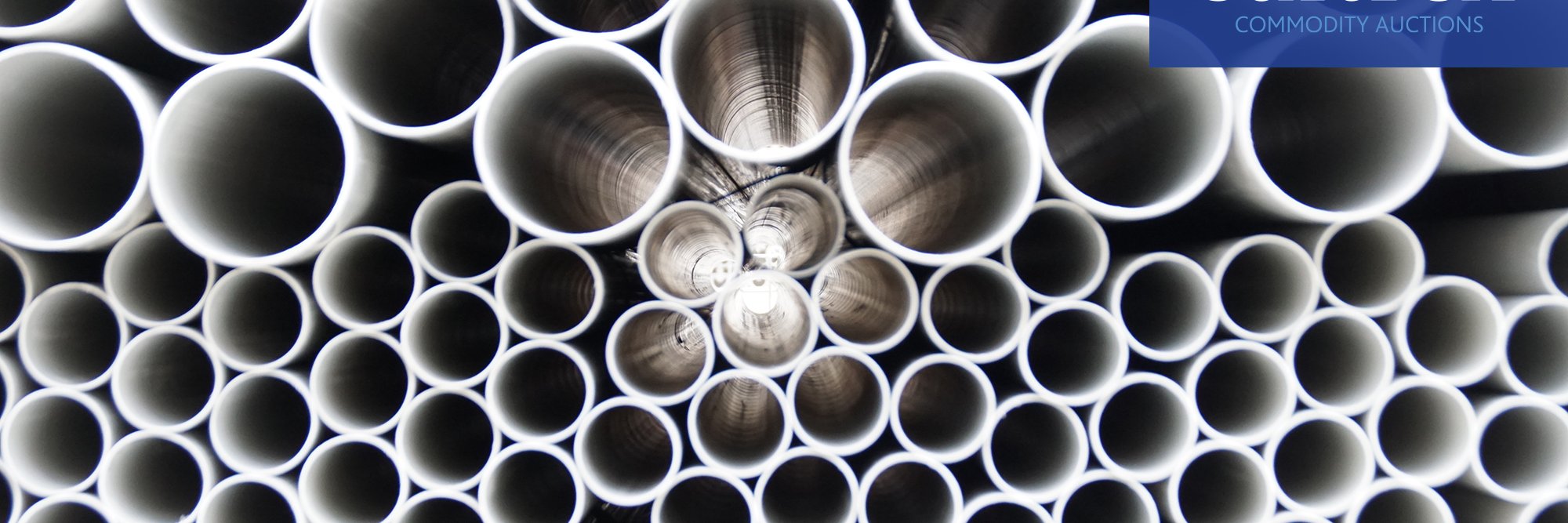 Saltrex - Commodity Auctions banner