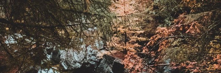 oppapoppai's profile banner image