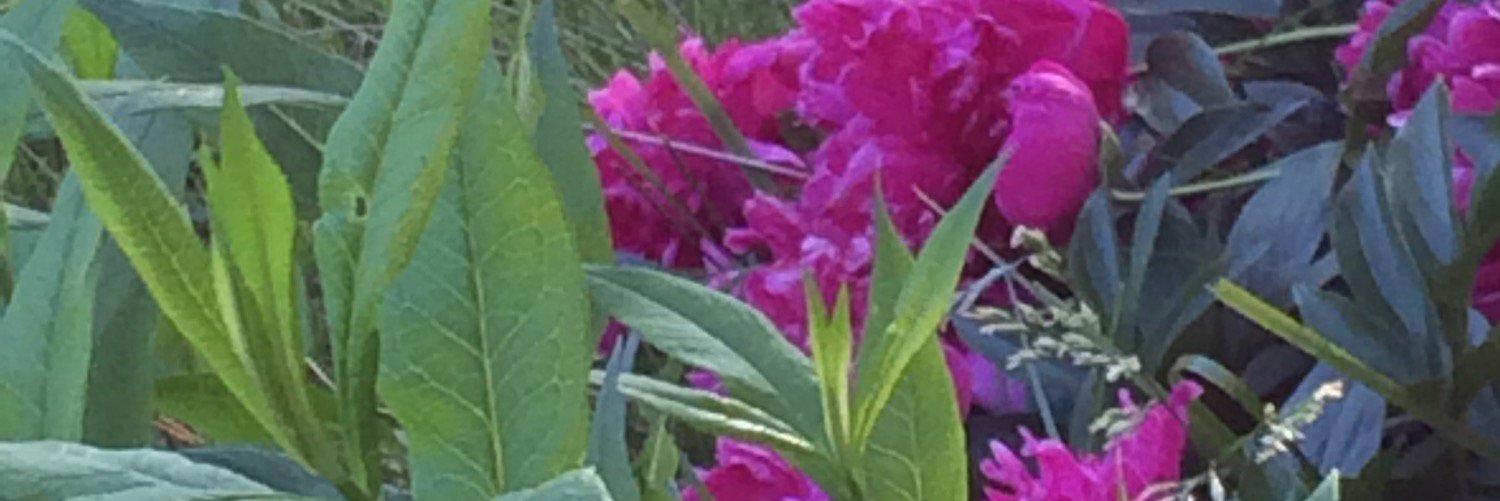 suthers49's profile banner image