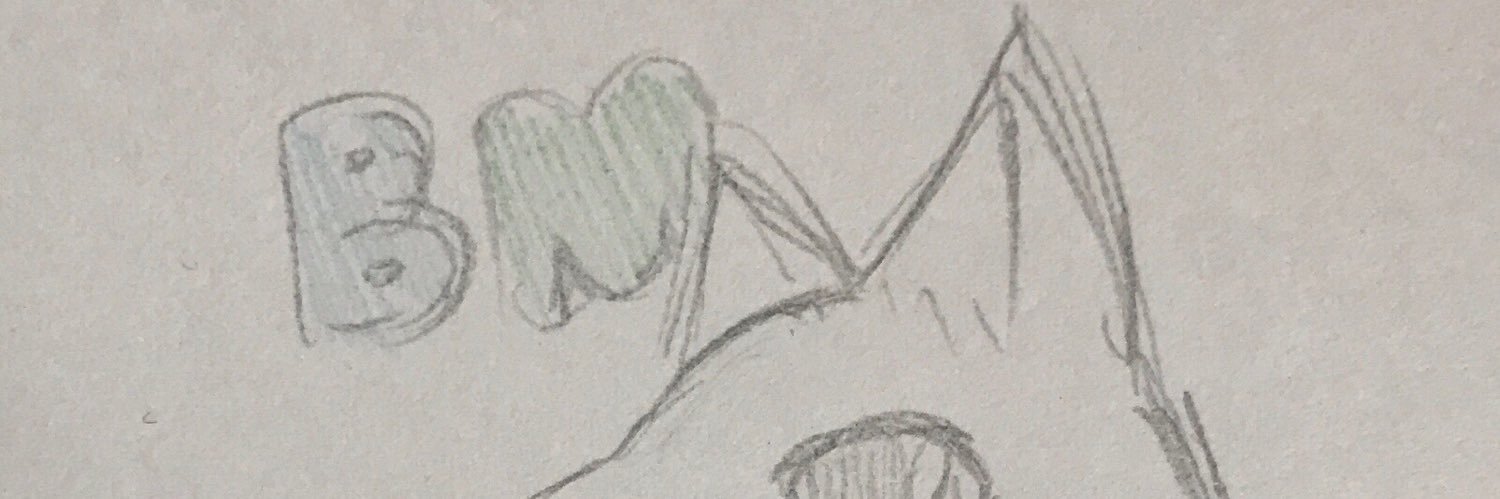 BM31_30's profile banner image