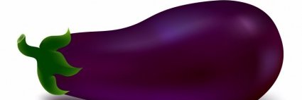 theeggplantking's profile banner image