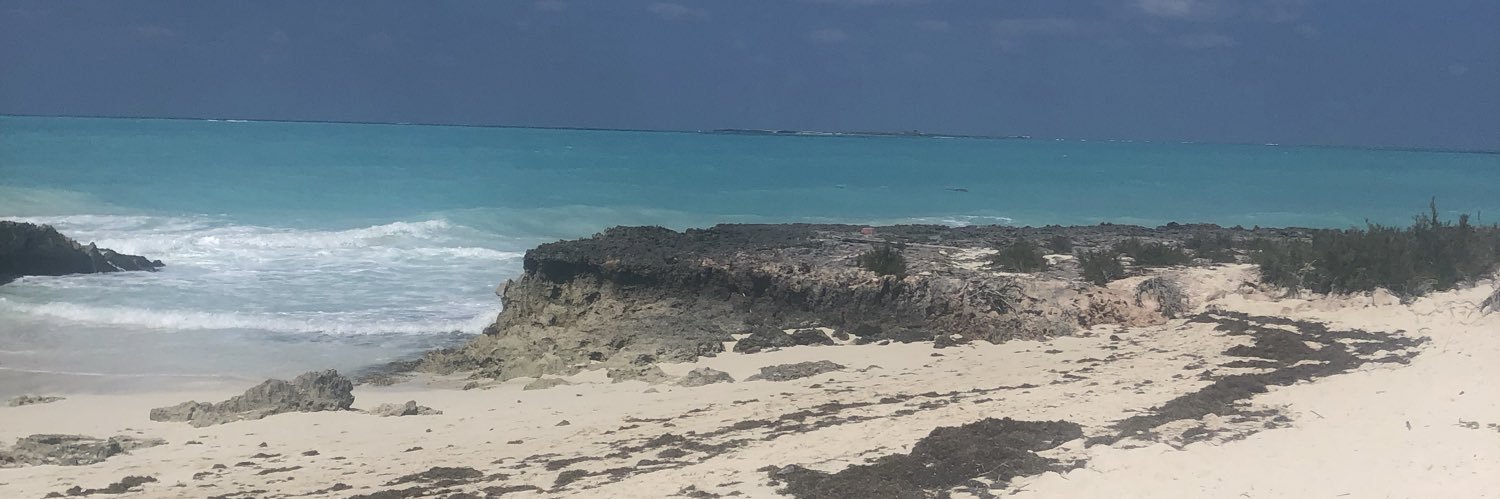 Raquel Jerez banner