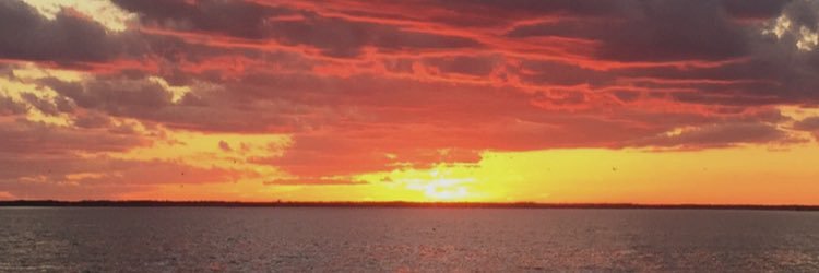 fairlyaudrey's profile banner image