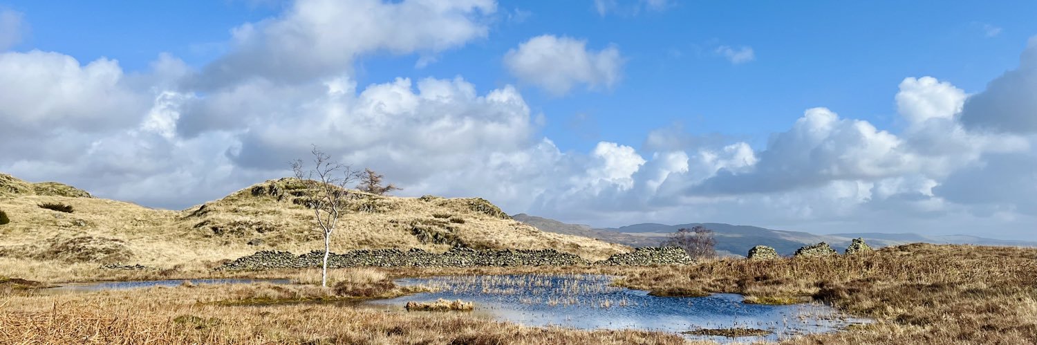 Gareth Davies banner