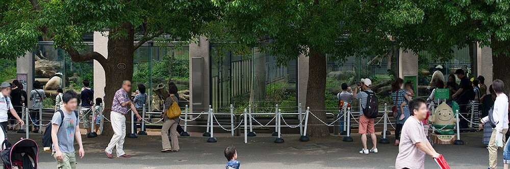 毎日パンダ banner