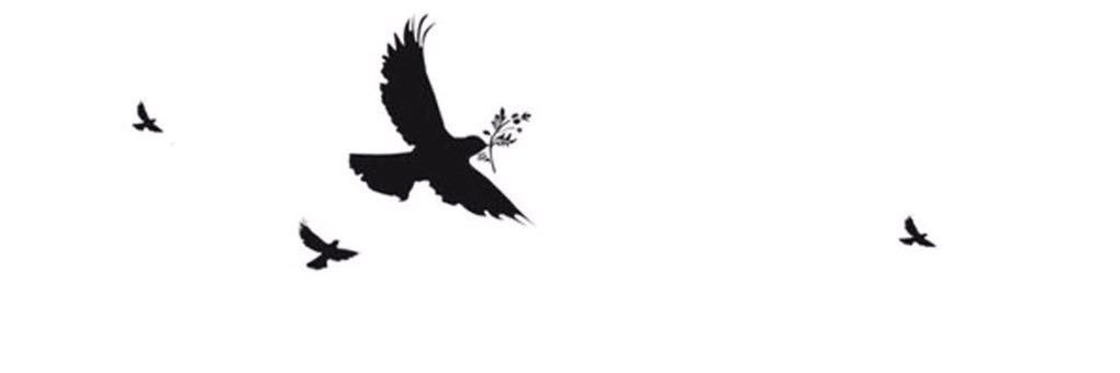ماجد النبهان banner
