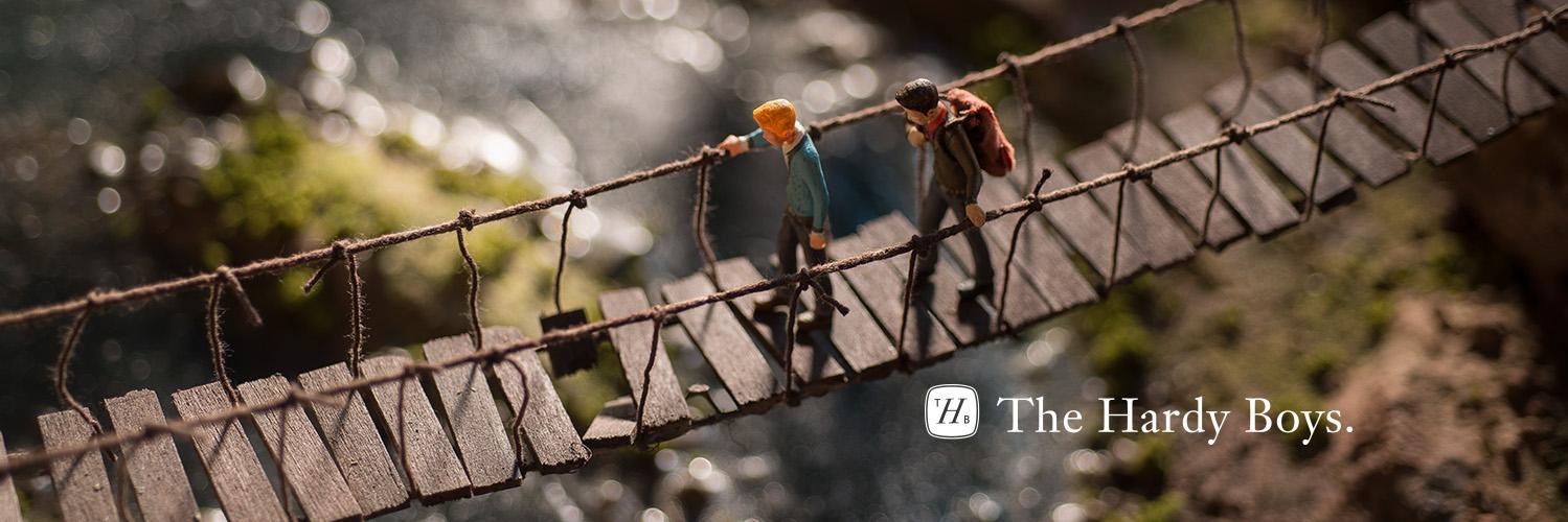 The Hardy Boys banner