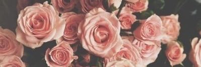 BethanyIV's profile banner image