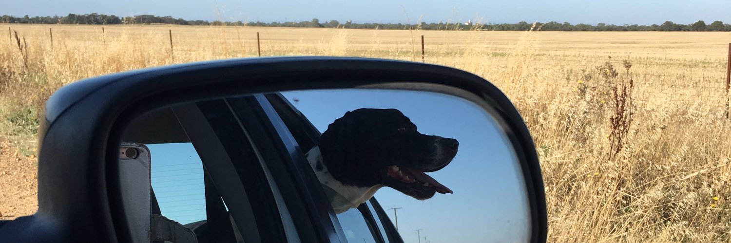 carmlawson12's profile banner image