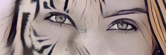 nvschnko's profile banner image