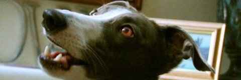 BargateCottage's profile banner image