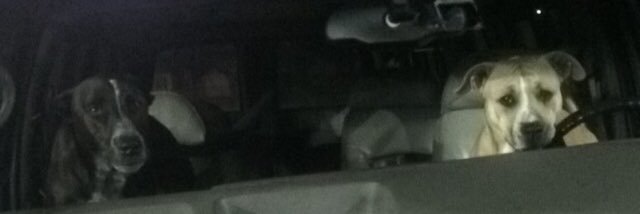 _Alexdiaz45's profile banner image