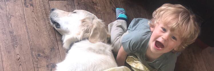 hannahmchugh_'s profile banner image
