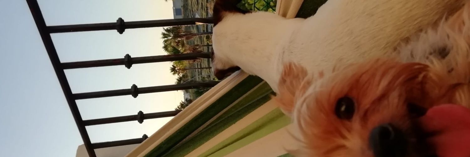 AnaAnillo's profile banner image