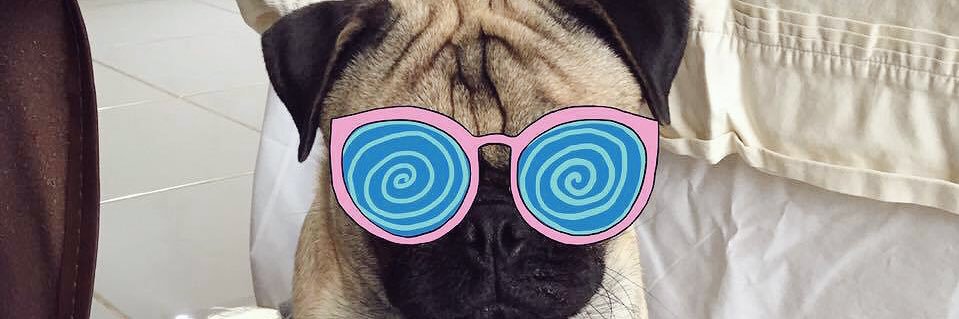 paampam's profile banner image