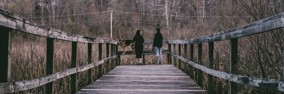 ManderPantss's profile banner image